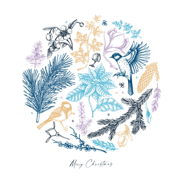 Merry Christmas card template. Evergreen plants, flower, bird sketches. Winter vector design. Hand-drawn botanical illustrations. NOT AI generated image